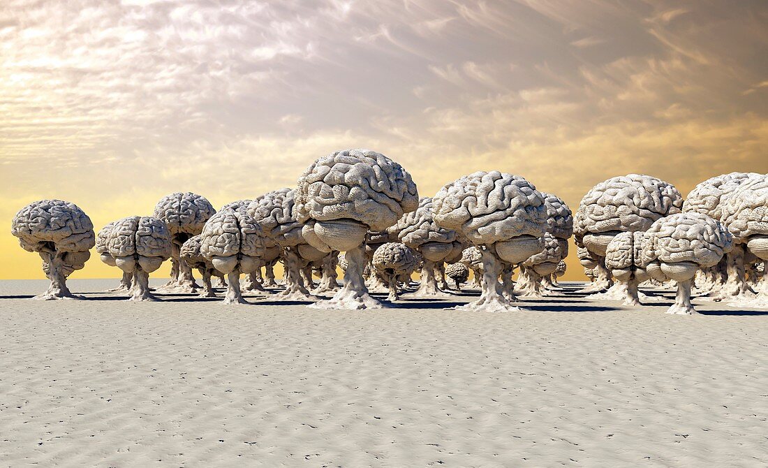 Forest of brains, conceptual image