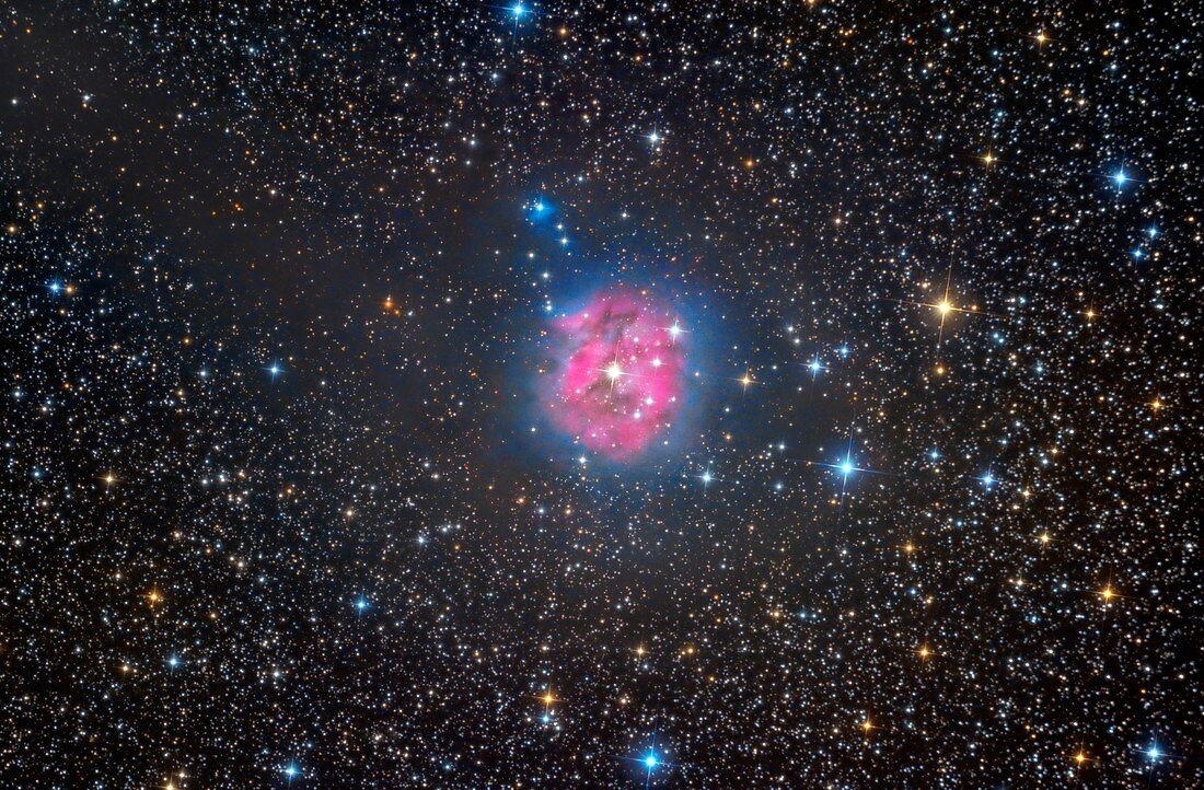Cocoon Nebula, optical image