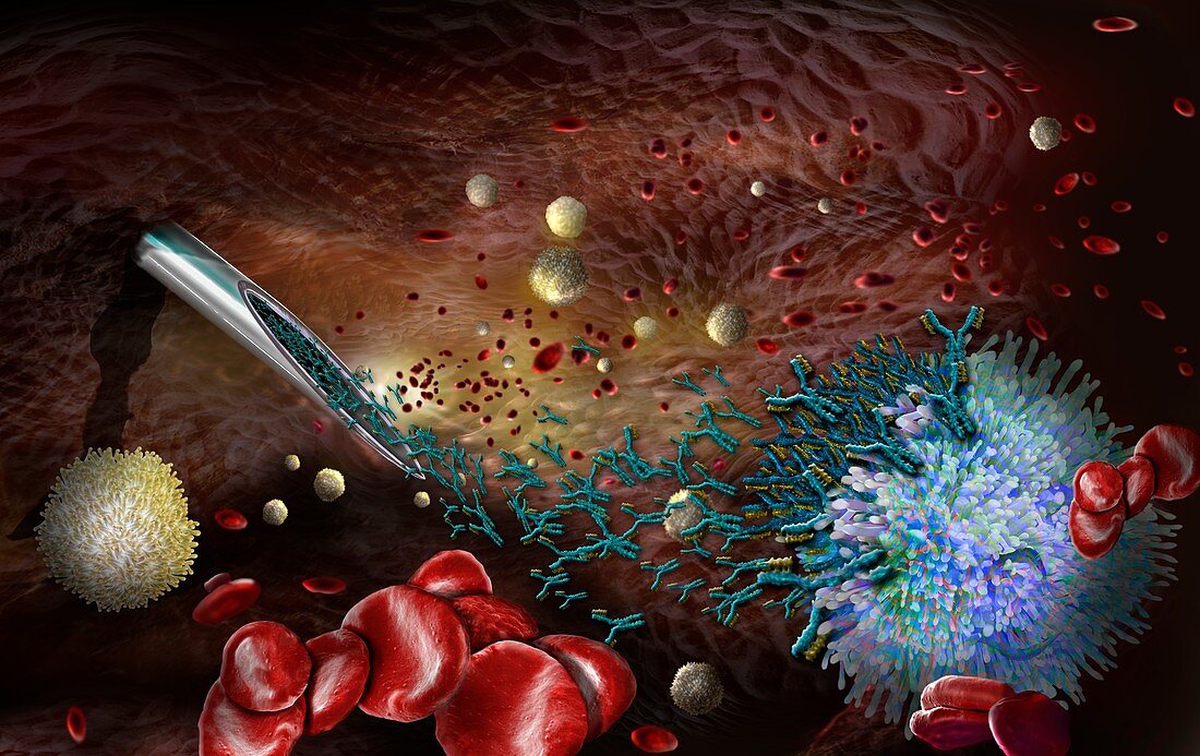 Antibodies being injected into the blood, illustration