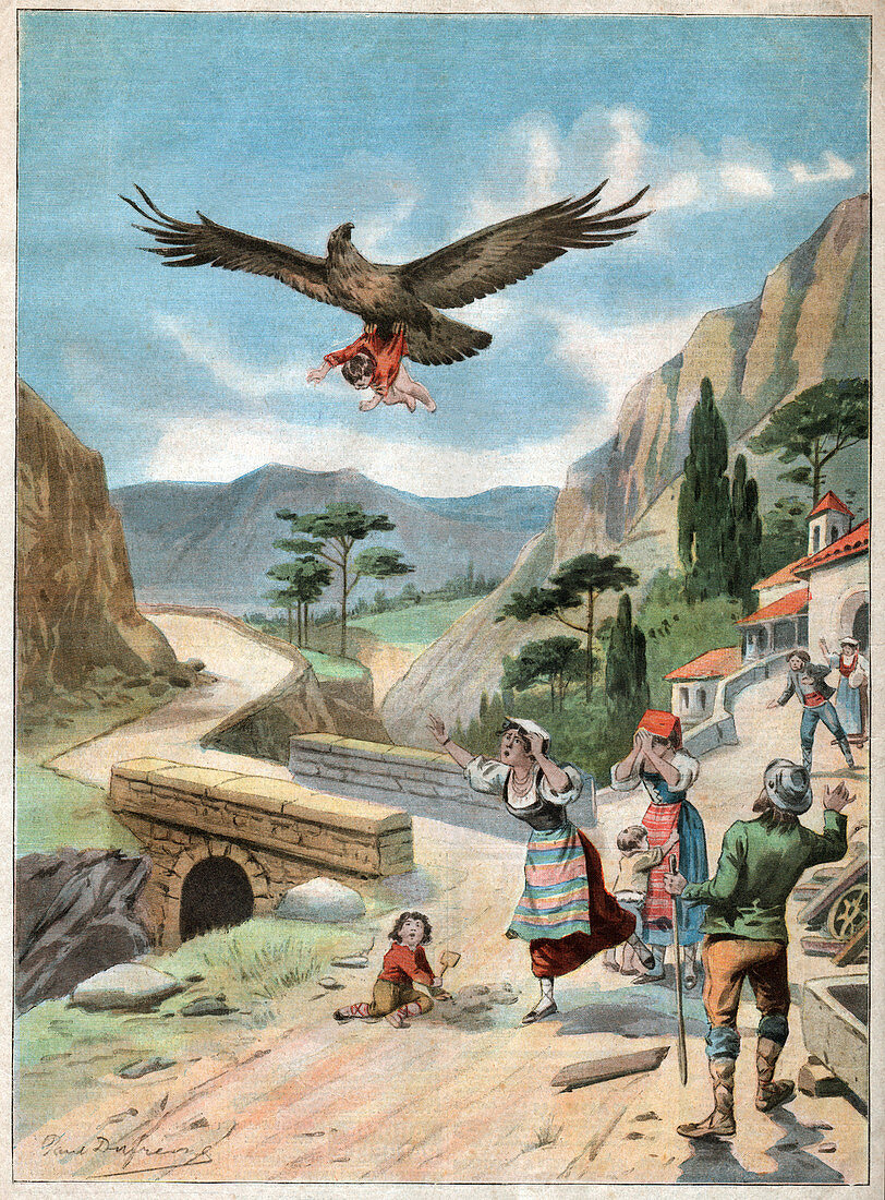 Child rapt by an eagle, illustration