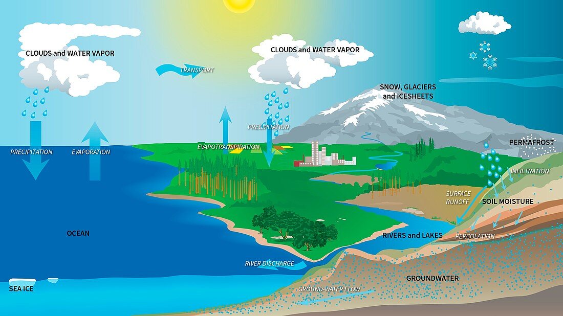 Earth's water cycle, illustration