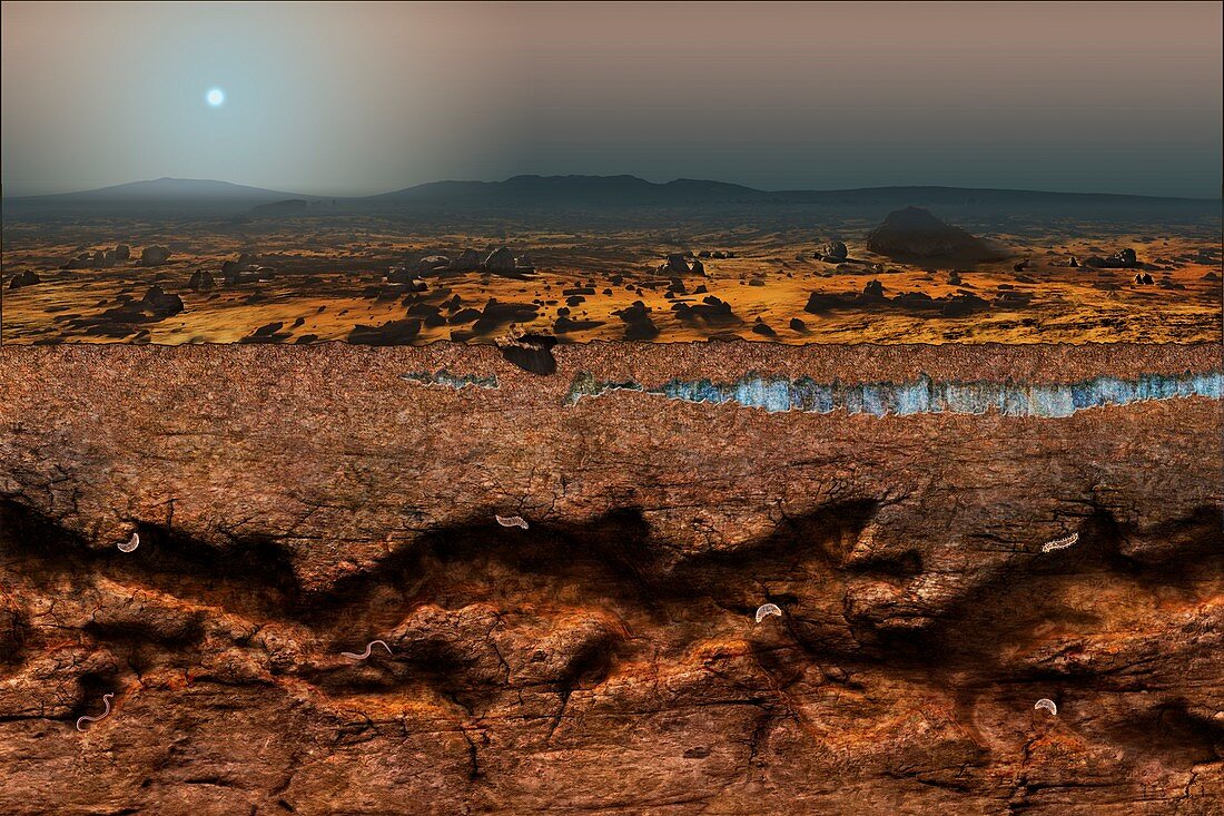 Martian landscape and microbial extremophiles, illustration