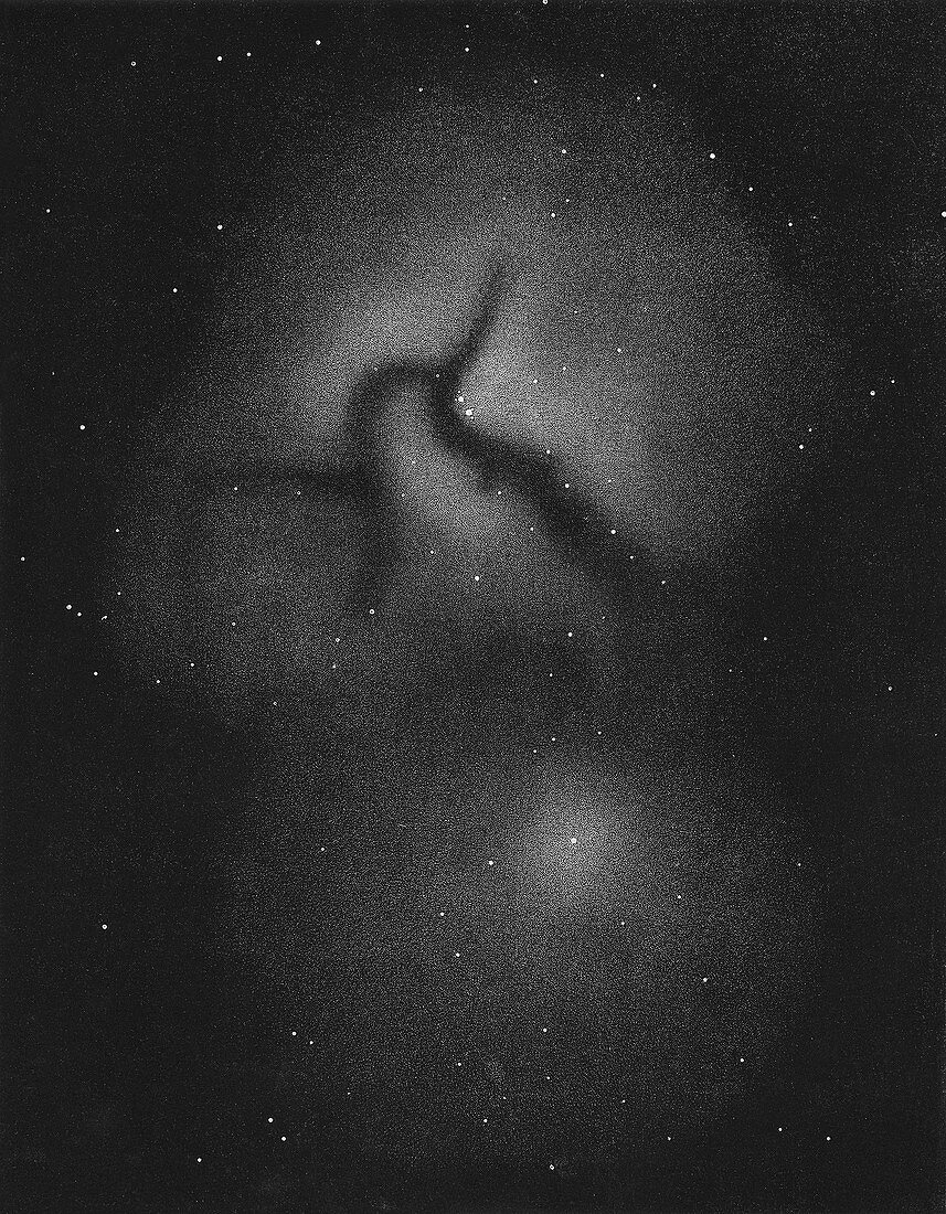 Trifid Nebula, 1874