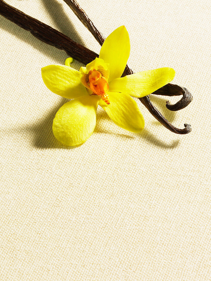 Vanilla beans with flower