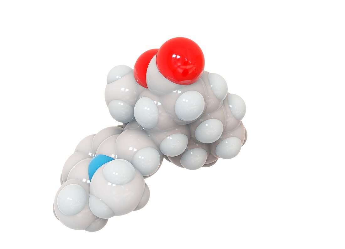 Himbacine molecule, illustration