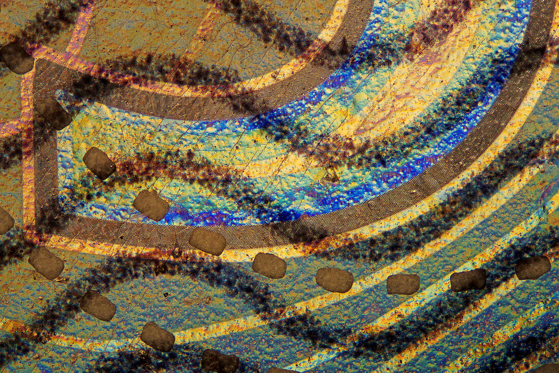 5 Euro banknote details, light micrograph