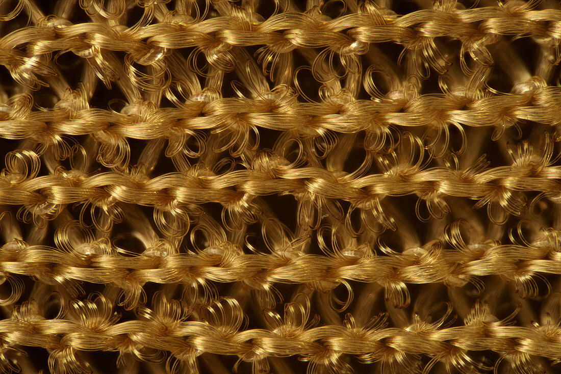 Pantyhose structure, light micrograph