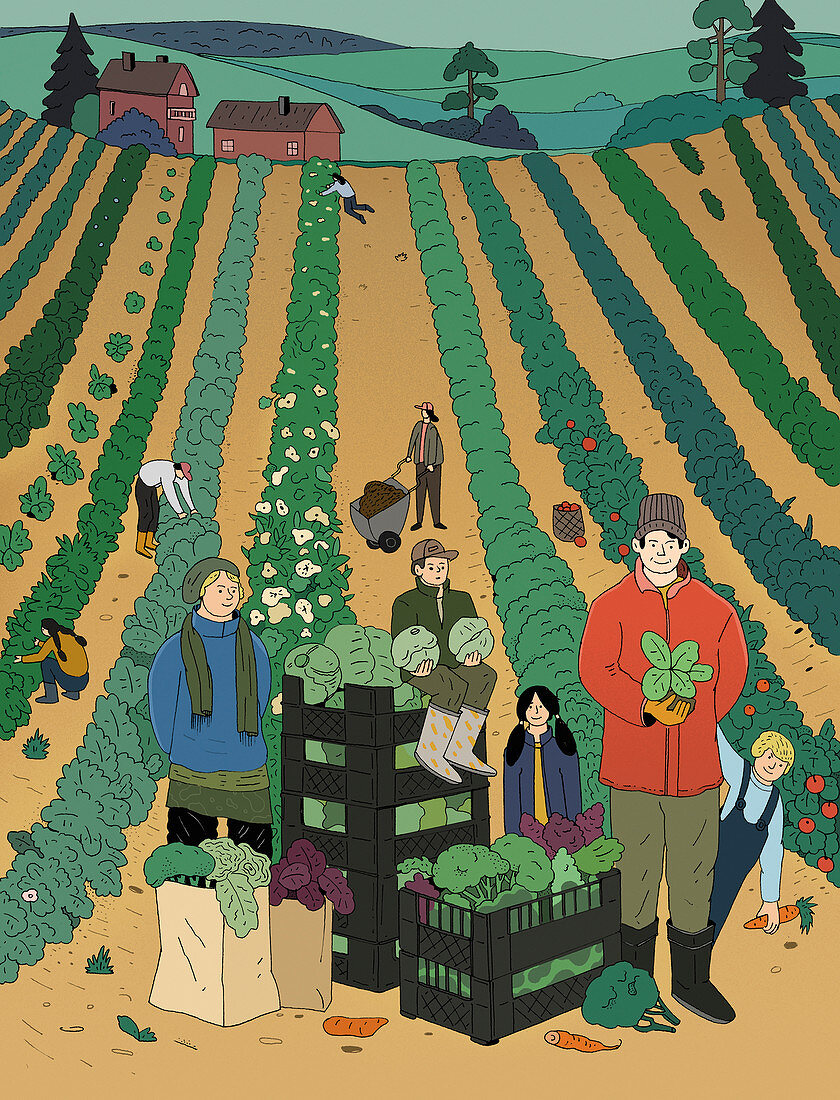 Community farm, illustration