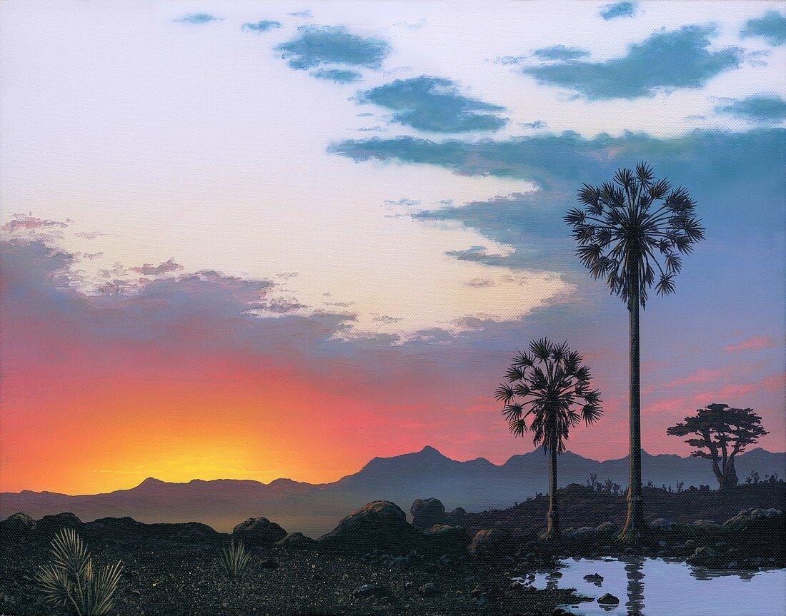 Sunrise on Hateg island, Cretaceous period, illustration