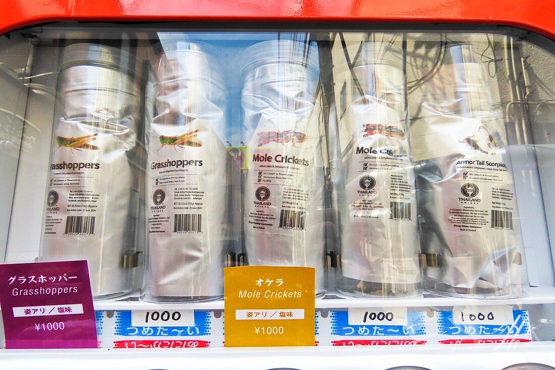 Edible insect snacks in Japanese vending machine