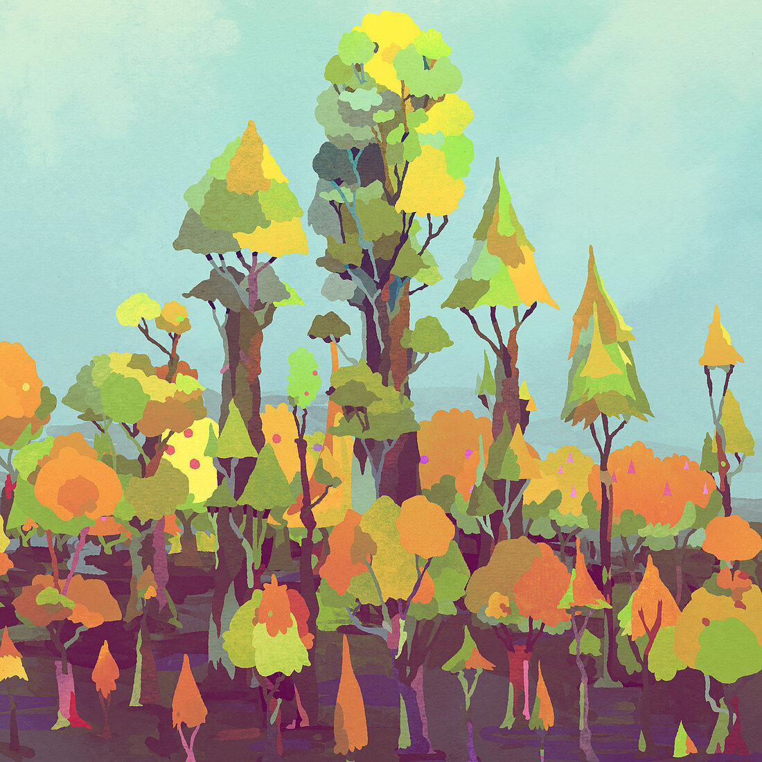 Treetops, illustration