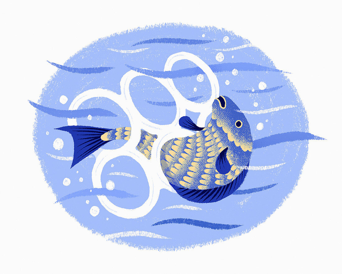Fish caught in plastic, illustration