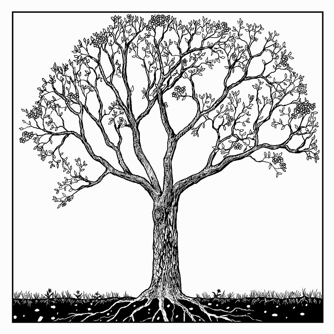 Tree in spring, illustration