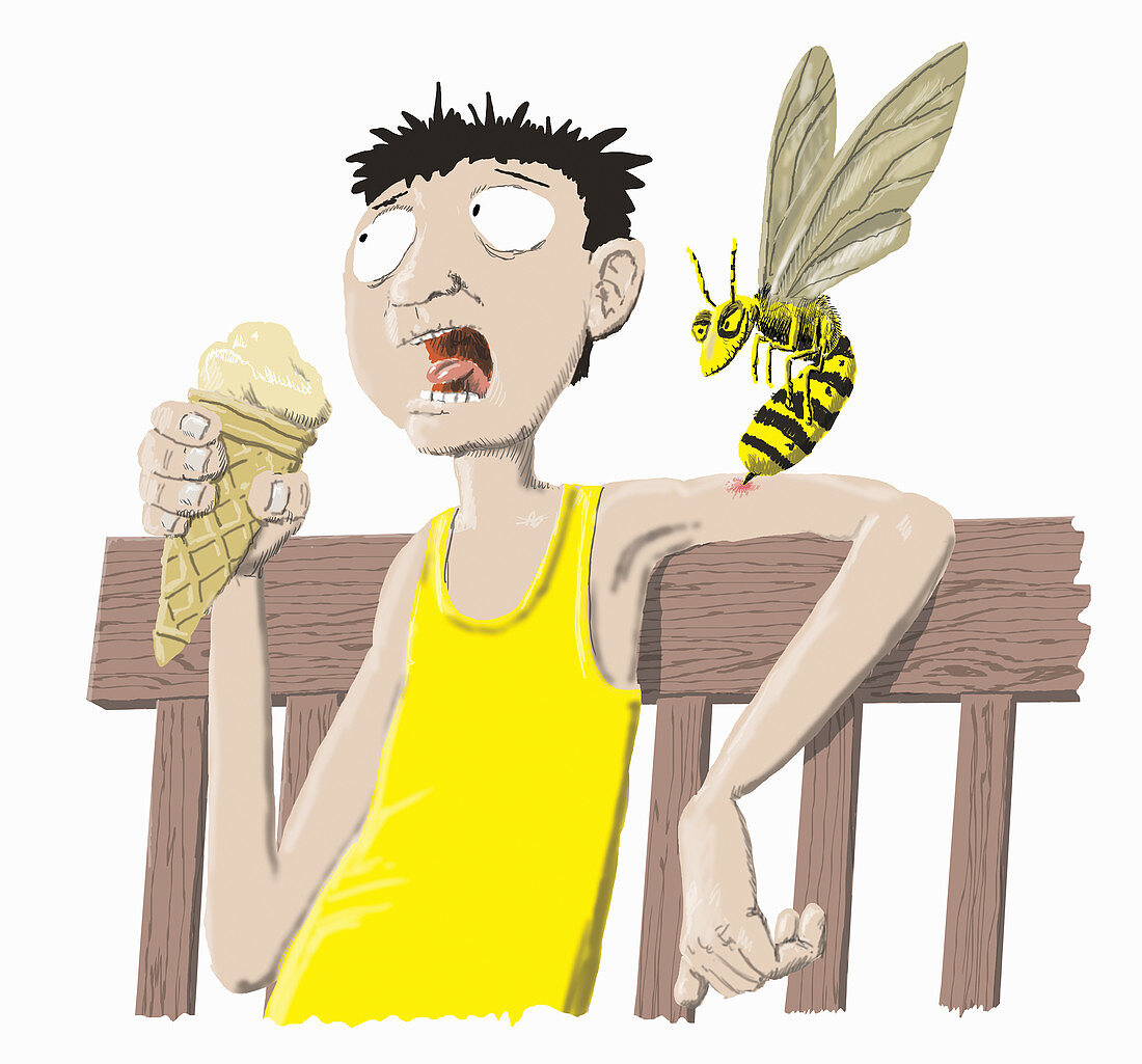 Man being stung by wasp, illustration