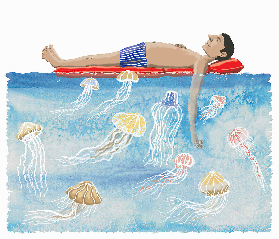 Jellyfish below lilo, illustration