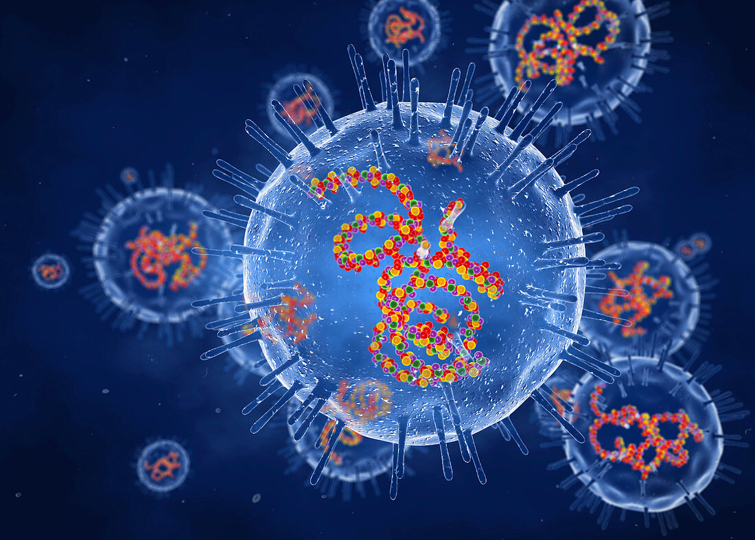 Rubella viruses, illustration