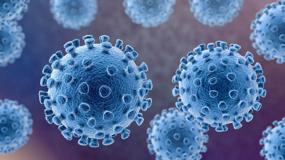 Coronavirus particles, illustration