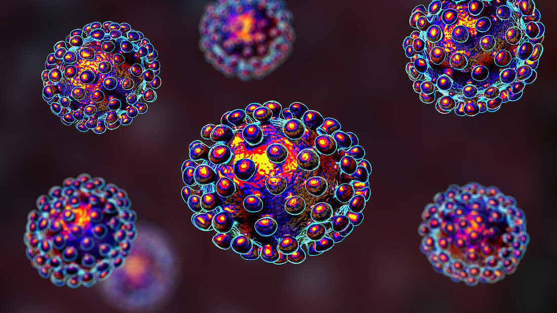 Coronavirus particles, illustration