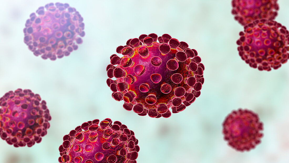 Coronavirus particles, illustration