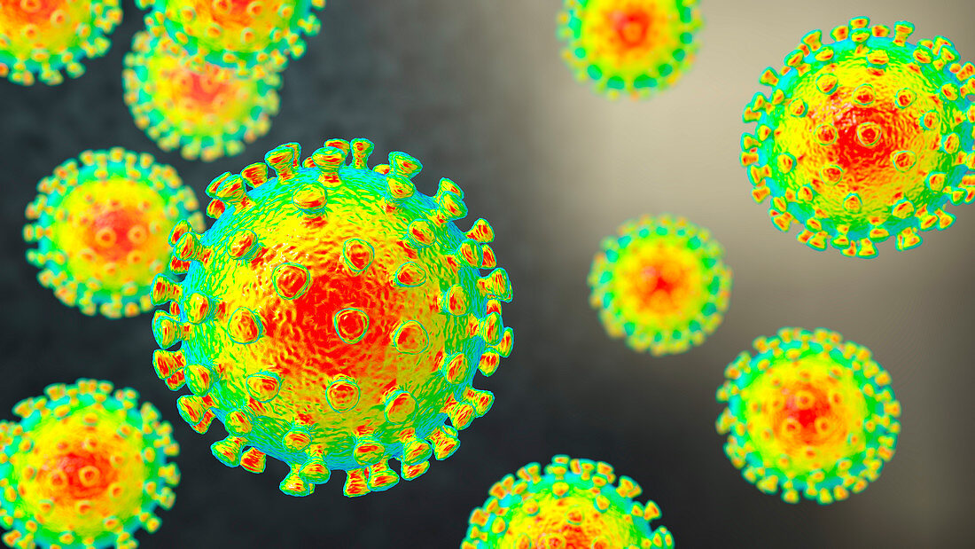 Coronavirus particles, illustration