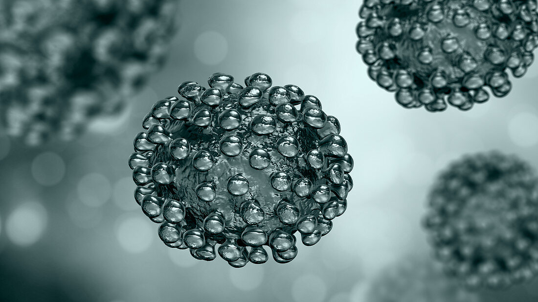 Coronavirus particles, illustration