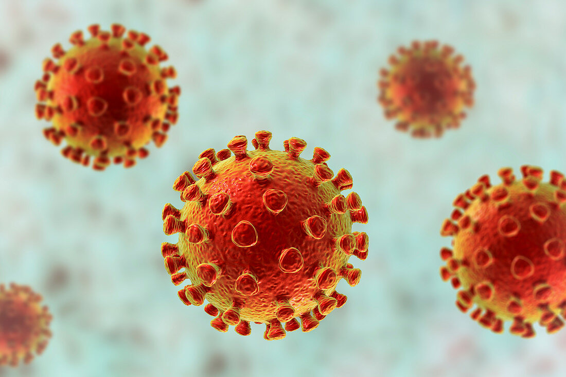 Coronavirus particles, illustration