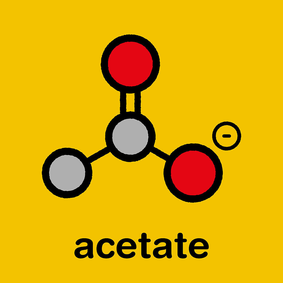 Acetate anion chemical structure, illustration