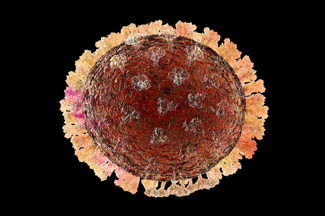 Flu viruses, illustration