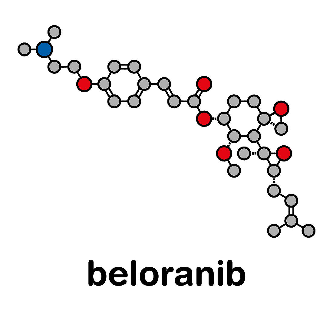 Beloranib obesity drug molecule, illustration