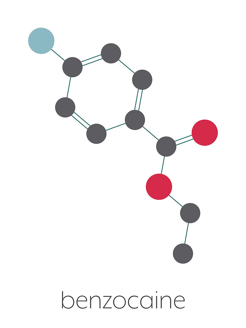 Benzocaine local anaesthetic drug molecule, illustration