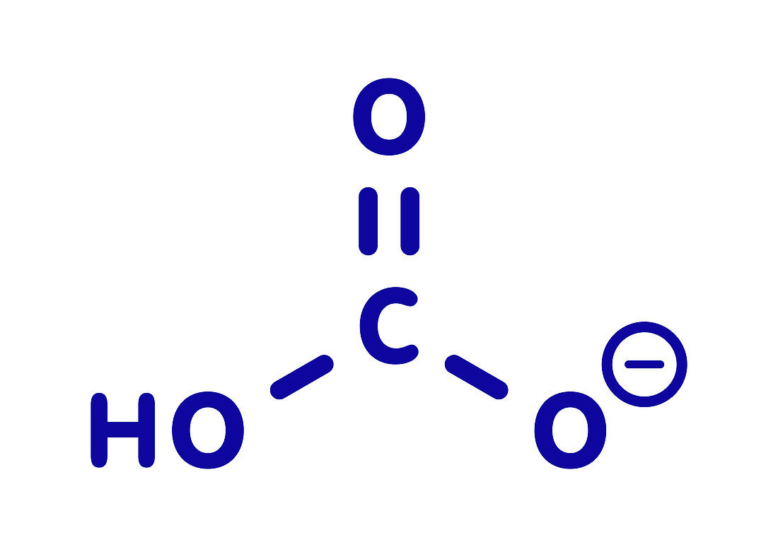 Bicarbonate anion chemical structure, illustration