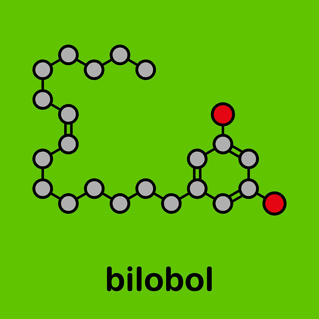 Bilobol Ginkgo biloba molecule, illustration