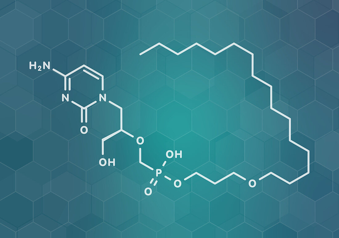 Brincidofovir antiviral drug molecule, illustration