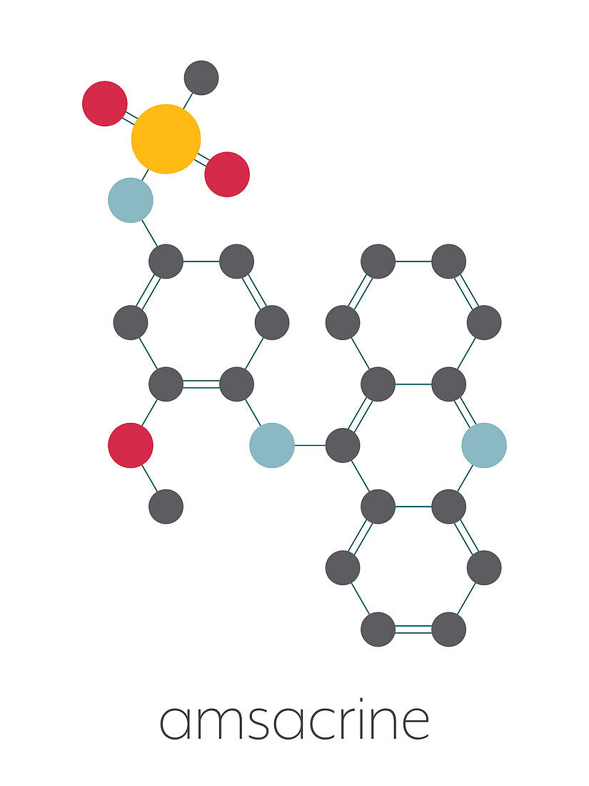 Amsacrine cancer drug molecule, illustration