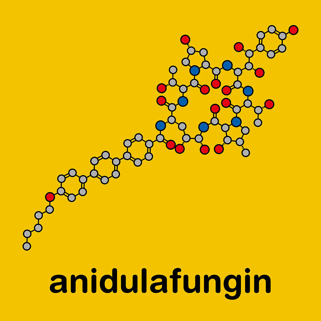 Anidulafungin antifungal drug molecule, illustration