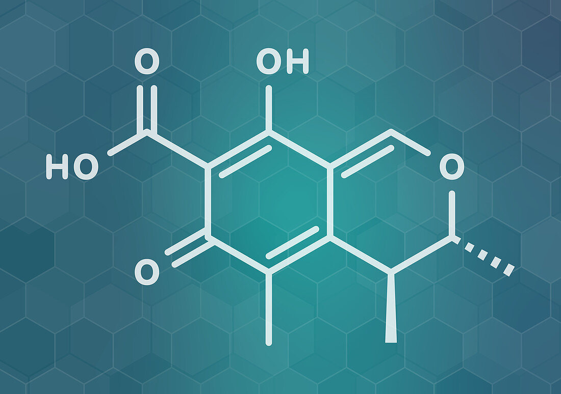 Citrinin mycotoxin molecule, illustration