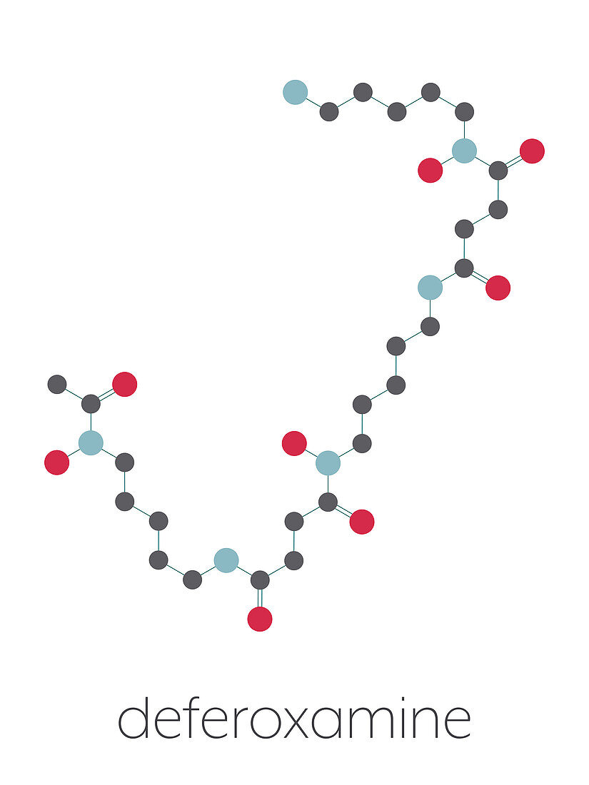 Deferoxamine drug molecule, illustration