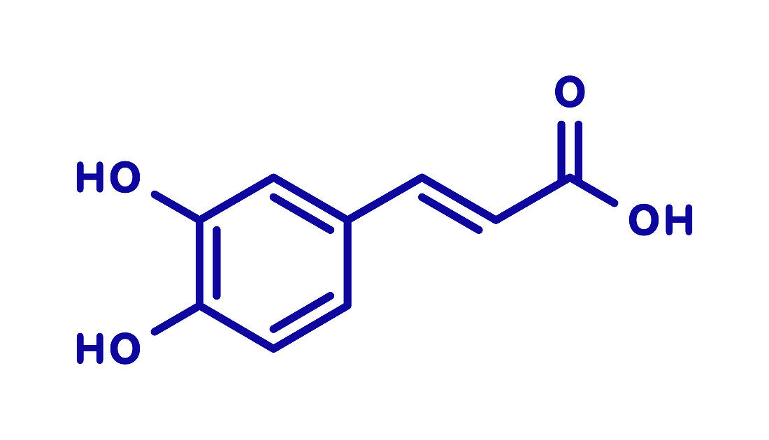 Caffeic acid molecule, illustration