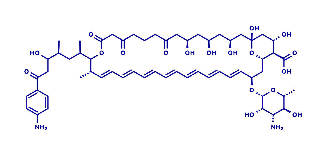Candicidin antifungal drug molecule, illustration