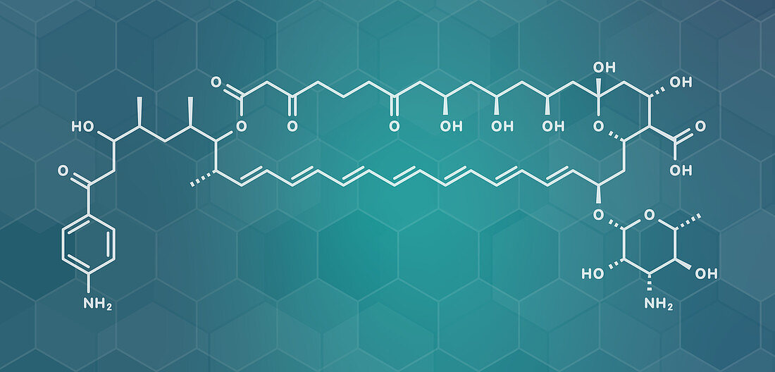 Candicidin antifungal drug molecule, illustration