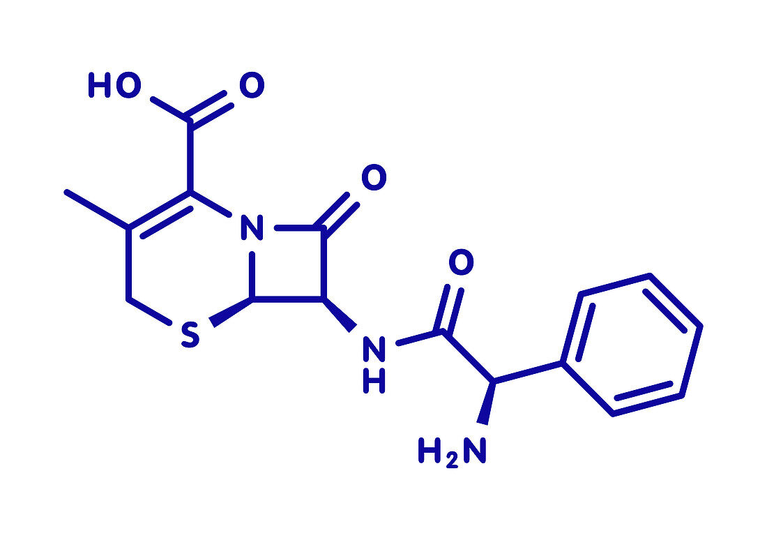 Cefalexin antibiotic drug molecule, illustration