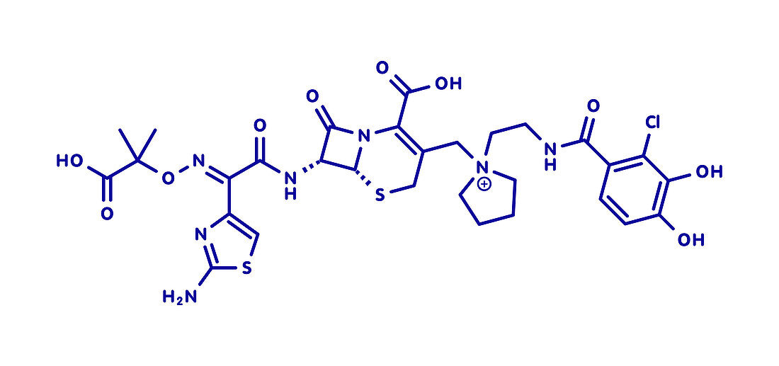 Cefiderocol antibiotic drug molecule, illustration