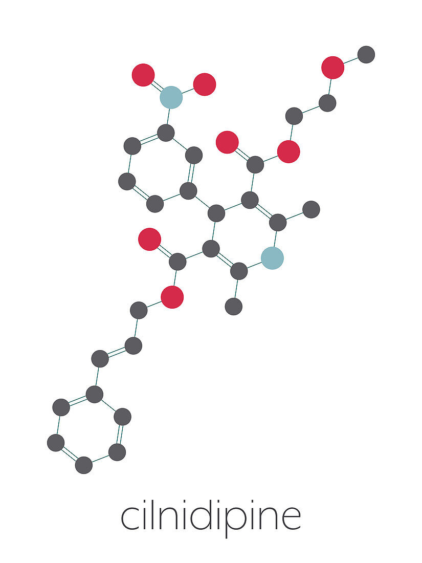 Cilnidipine hypertension drug molecule, illustration