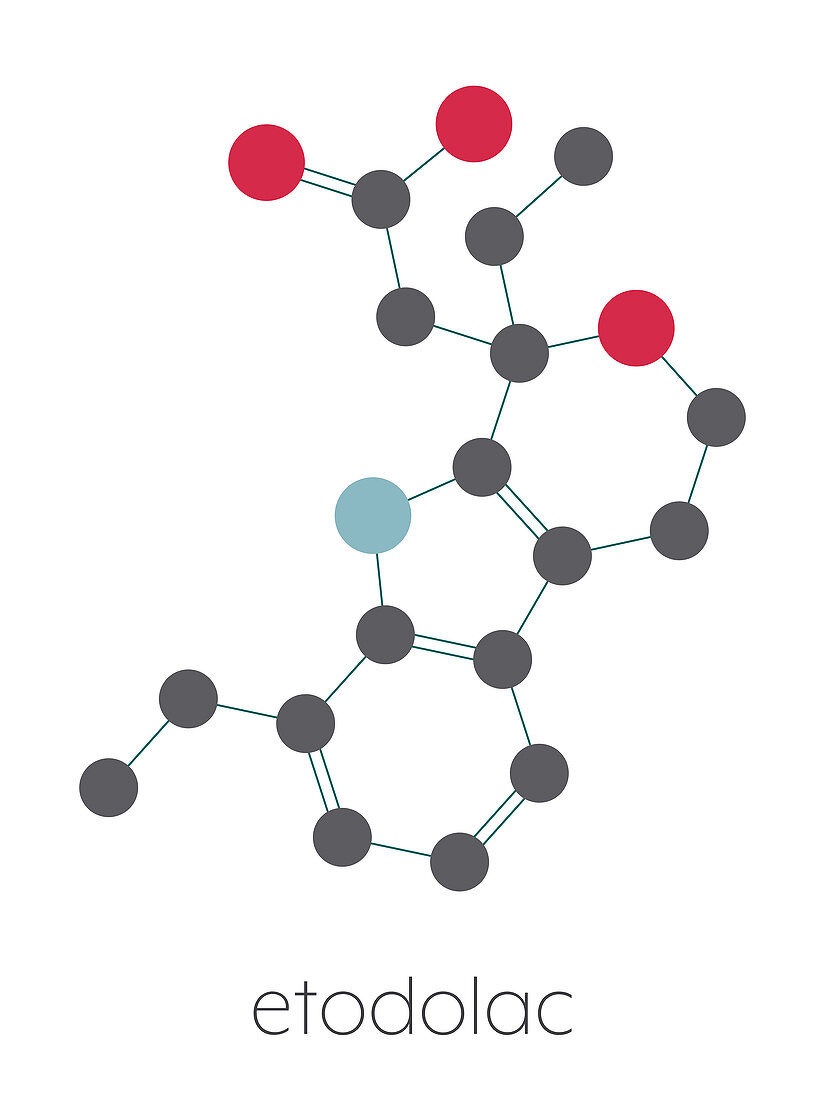 Etodolac NSAID drug molecule, illustration