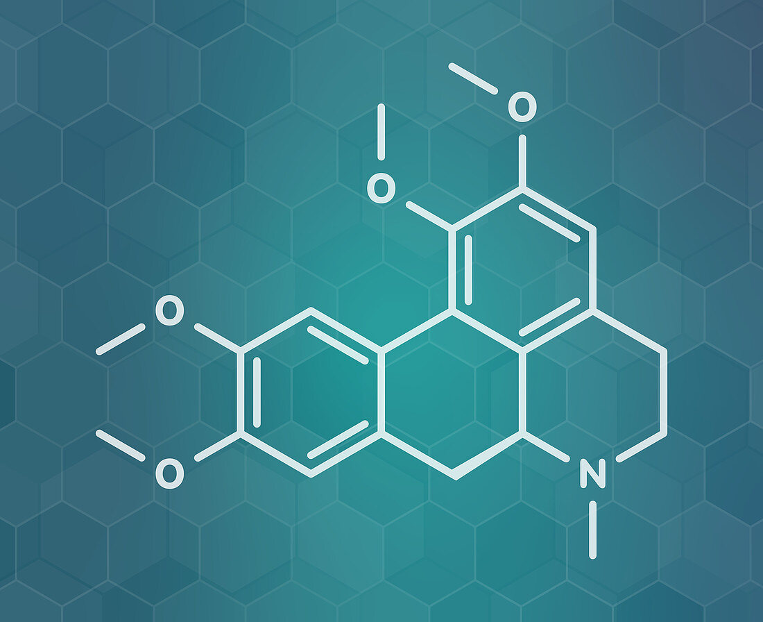 Glaucine alkaloid molecule, illustration