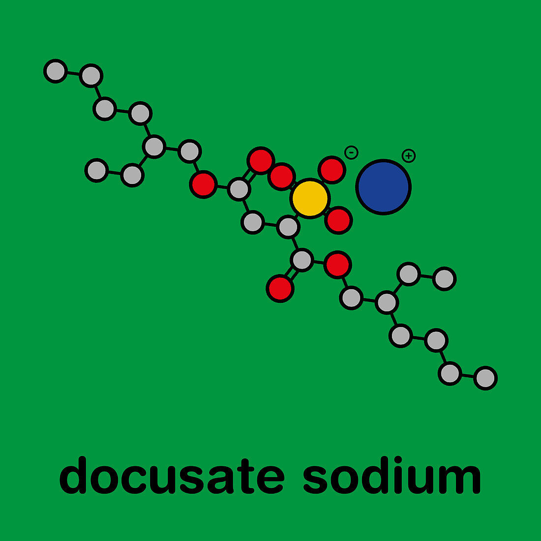 Docusate sodium drug molecule, illustration