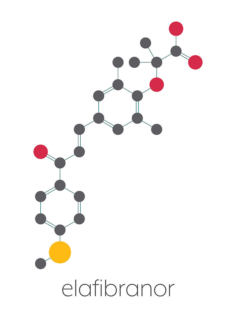 Elafibranor drug molecule, illustration