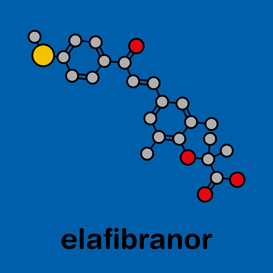 Elafibranor drug molecule, illustration