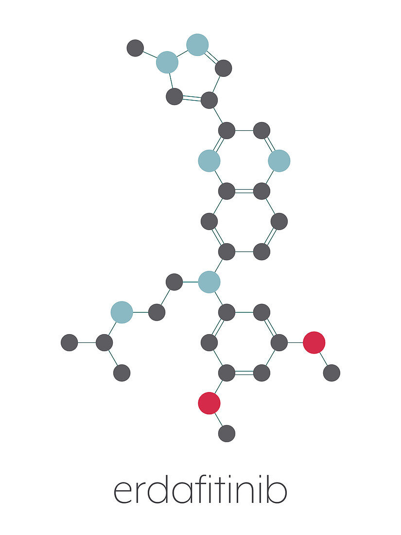 Erdafitinib cancer drug molecule, illustration