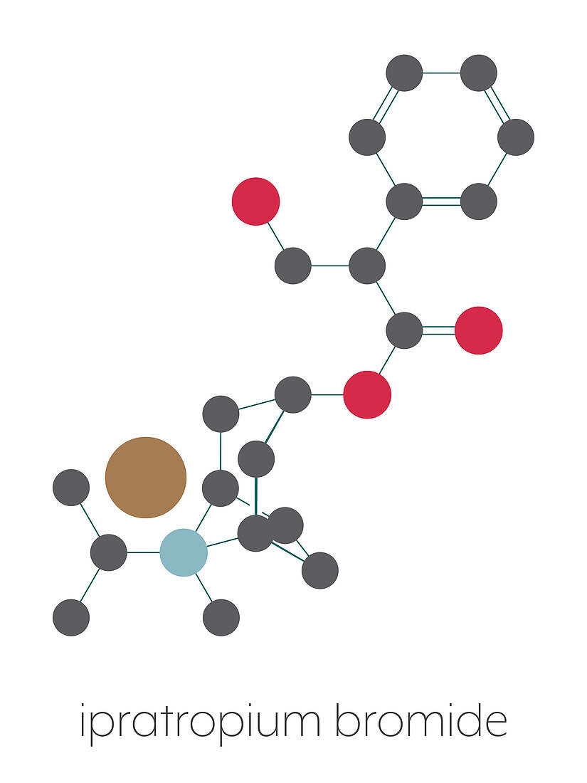 Ipratropium bromide asthma drug molecule, illustration